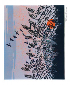 'Sunset Flight'  by Robert Gillmor