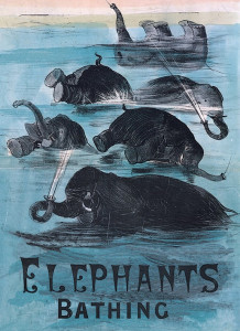 'Elephants Bathing' Card
