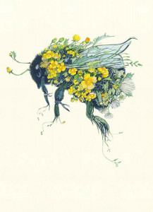 'Bumblebee' Card