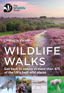 Wildlife Walks by Charlotte Varela