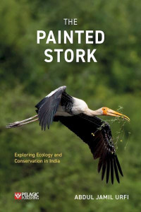 The Painted Stork by Abdul Jamil Urfi