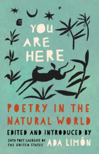 You Are Here by Ada Limón (Hardback)