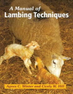 Manual of Lambing Techniques by Agnes C. Winter (Hardback)