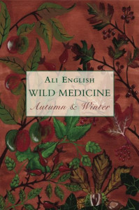 Wild Medicine by Ali English