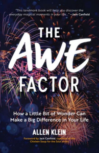 The Awe Factor by Allen Klein