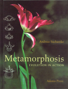 Metamorphosis by Andreas Suchantke (Hardback)