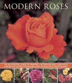 Modern Roses by Andrew Mikolajski