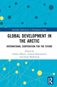 Global Development in the Arctic by Andrey Mineev (Hardback)