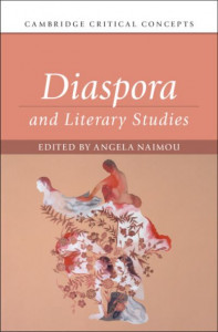 Diaspora and Literary Studies by Angela Naimou (Hardback)
