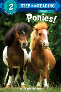 Ponies by Angela Roberts