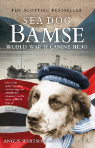 Sea Dog Bamse by Angus Whitson