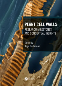 Plant Cell Walls by Anja Geitmann (Hardback)