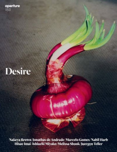 Desire (Book 253)