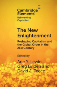 The New Enlightenment by Arie Y. Lewin