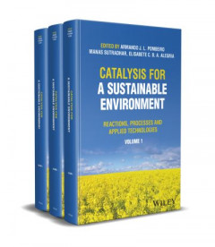 Catalysis for a Sustainable Environment by A. J. L. Pombeiro (Hardback)