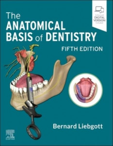 The Anatomical Basis of Dentistry by Bernard Liebgott