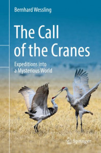 The Call of the Cranes by Bernhard Wessling