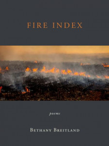 Fire Index by Bethany Breitland