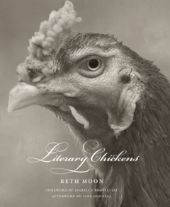 Literary Chickens by Beth Moon (Hardback)