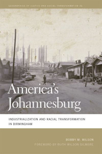 America's Johannesburg (Book 46) by Bobby M. Wilson
