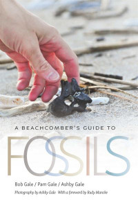 A Beachcomber's Guide to Fossils by Bob Gale