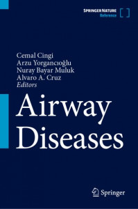 Airway Diseases by Cemal Cingi (Hardback)