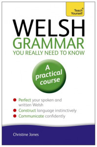 Welsh Grammar You Really Need to Know by Christine Jones