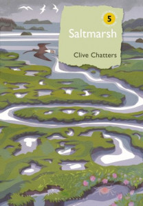 Saltmarsh (Book 5) by Clive Chatters (Hardback)