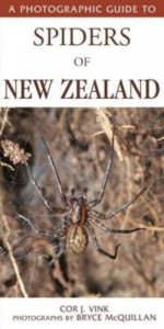 A Photographic Guide to Spiders of New Zealand by Cor J. Vink