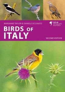 Birds of Italy by Marianne Taylor