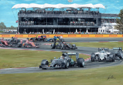 Lewis Hamilton 2015 British Grand Prix by David Johnson