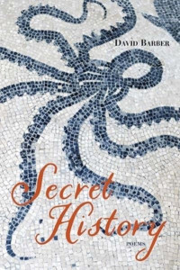 Secret History by David Barber