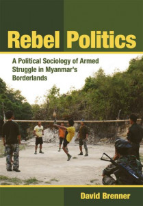 Rebel Politics by David Brenner