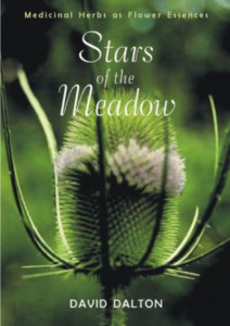Stars of the Meadow by David Dalton