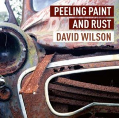 Peeling Paint and Rust by David Wilson (Hardback)