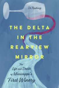 The Delta in the Rearview Mirror by Di Rushing (Hardback)