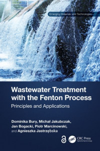 Wastewater Treatment With the Fenton Process by Dominika Bury (Hardback)