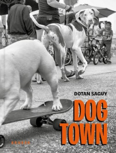 Dog Town by Dotan Saguy (Hardback)