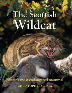 The Scottish Wildcat by Christopher Clegg (Hardback)