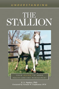 Understanding the Stallion by E. L. Squires