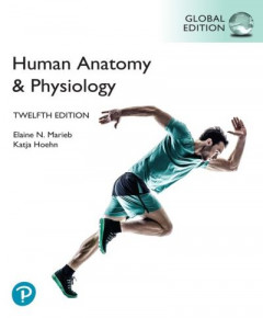 Human Anatomy & Physiology [Global Edition] by Elaine Marieb