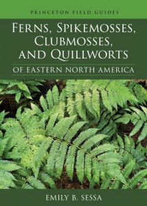 Ferns, Spikemosses, Clubmosses, and Quillworts of Eastern North America (Book 150) by Emily B. Sessa