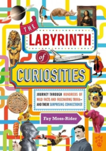The Labyrinth of Curiosities by Fay Moss-Rider (Hardback)