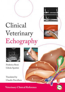 Clinical Veterinary Echography by Federica Rossi (Hardback)