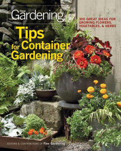 Tips for Container Gardening by Jennifer Renjilian Morris