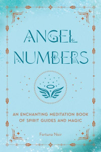 Angel Numbers (Book 5) by Fortuna Noir (Hardback)