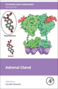 Adrenal Gland. Volume 124 by Gerald Litwack (Hardback)