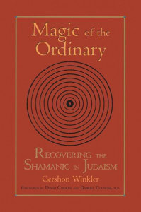 Magic of the Ordinary by Gershon Winkler