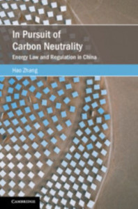 In Pursuit of Carbon Neutrality by Hao Zhang (Hardback)