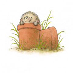 Hedgehog in Pot Card